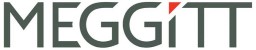 Logo_Meggit (1).jpg